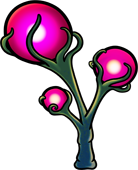Strange little tree with ominously happy glowing orbs. Possibly poisonous when injested, definitely poisonous when mixed with poison.